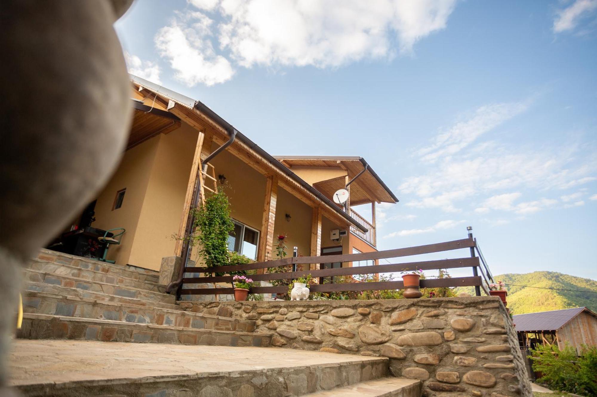 Casa Rumelia Paltineni ภายนอก รูปภาพ