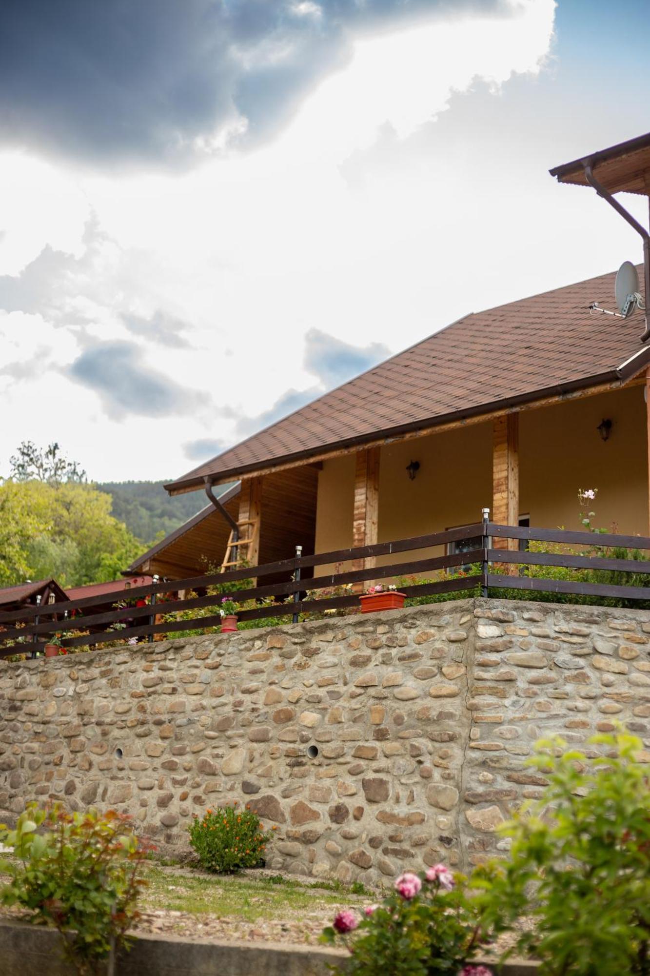 Casa Rumelia Paltineni ภายนอก รูปภาพ