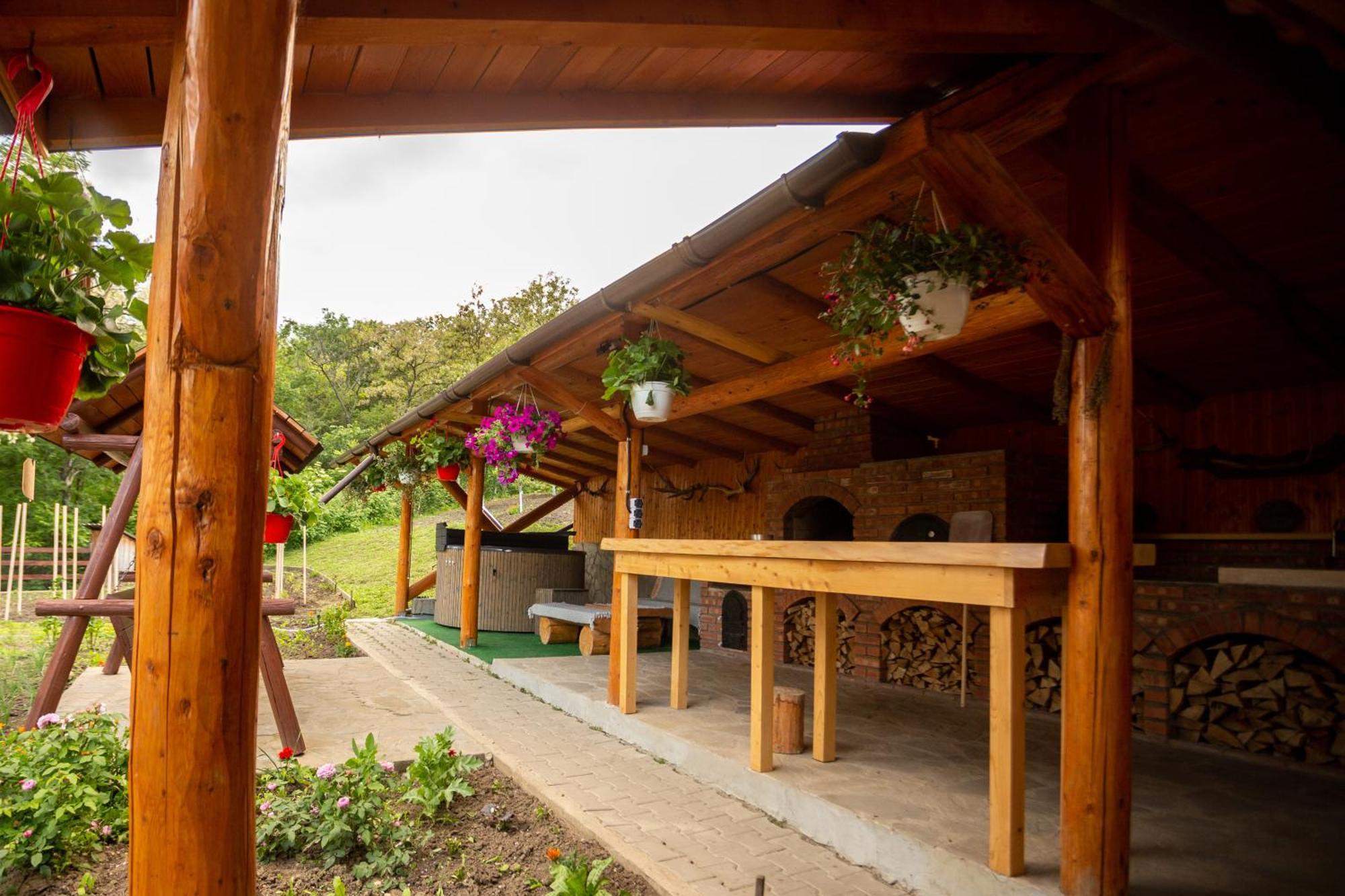 Casa Rumelia Paltineni ภายนอก รูปภาพ