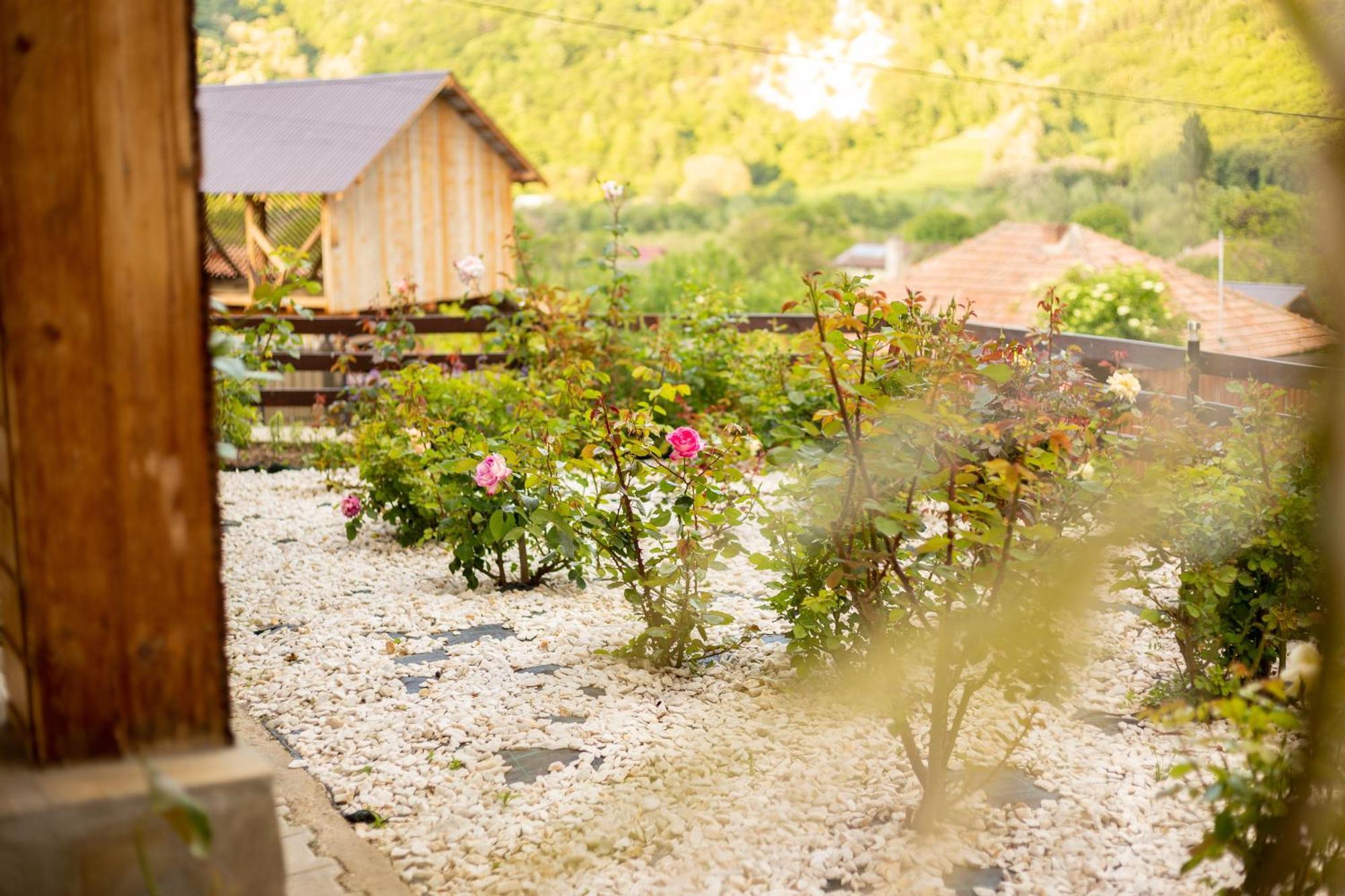 Casa Rumelia Paltineni ภายนอก รูปภาพ