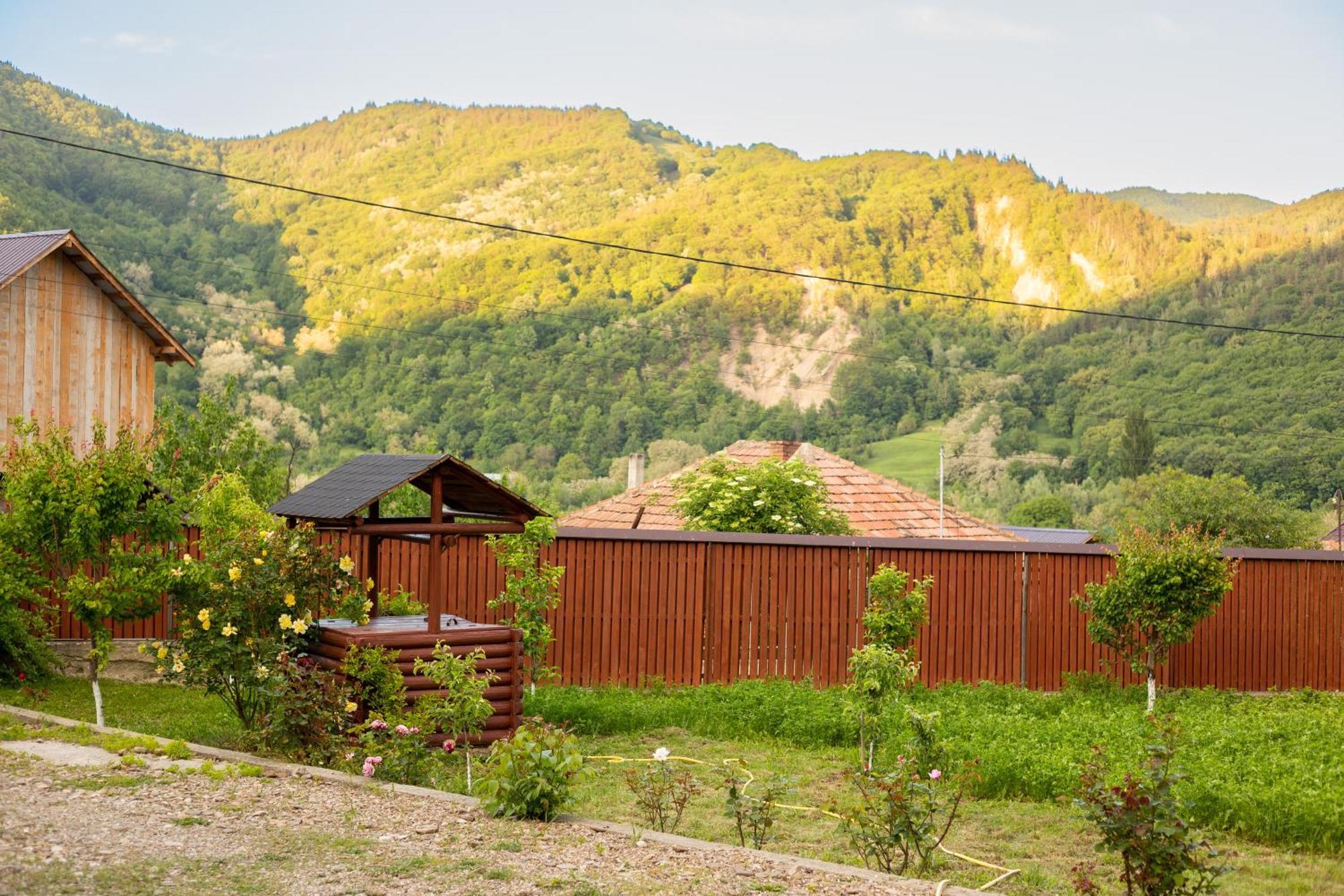 Casa Rumelia Paltineni ภายนอก รูปภาพ