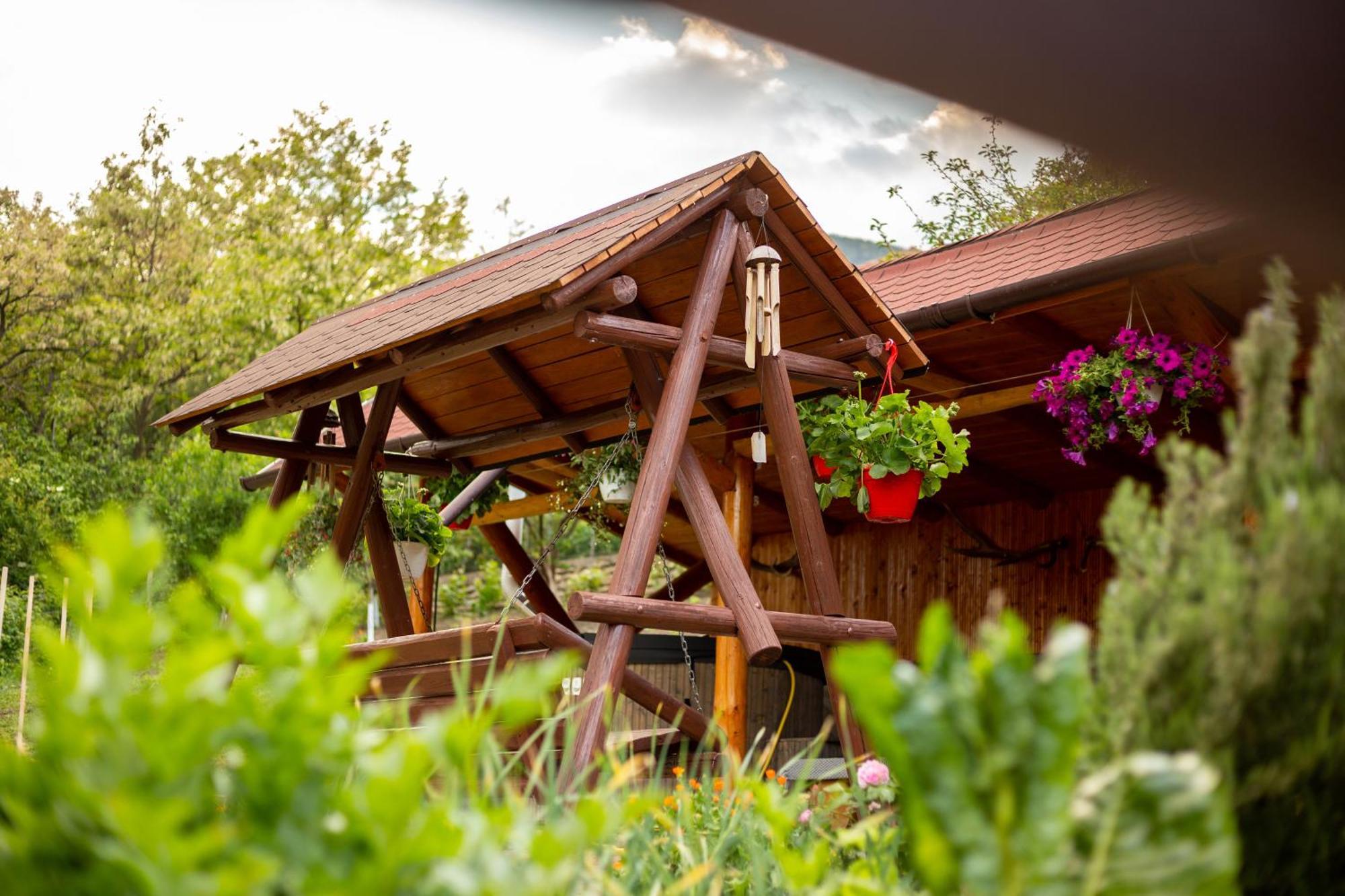 Casa Rumelia Paltineni ภายนอก รูปภาพ